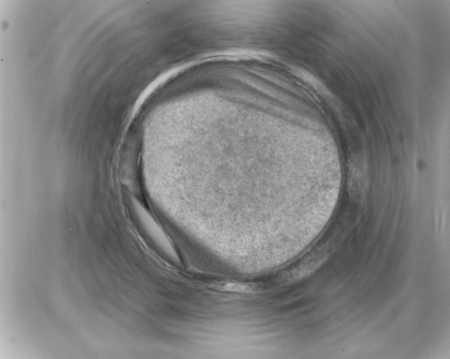 X0000085261412200704092103