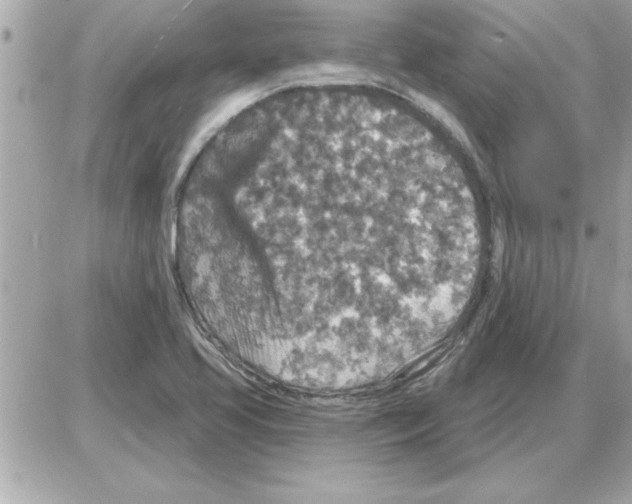 X0000085261413200704092103