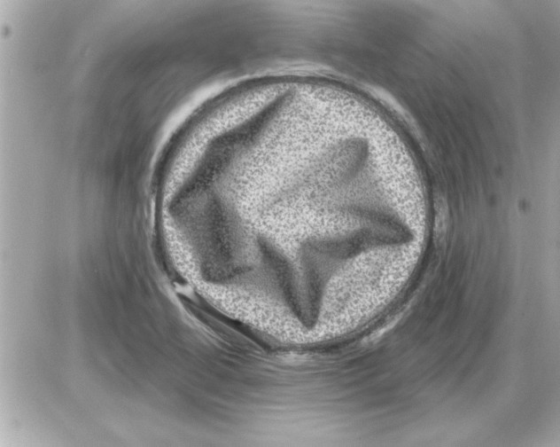 X0000085261414200704092103