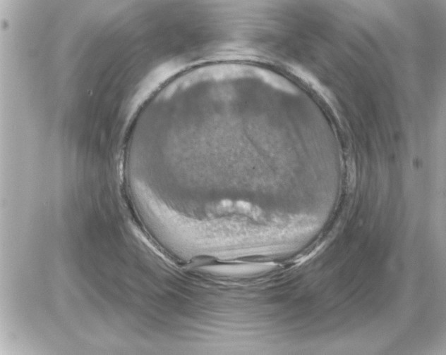 X0000085261415200704092103