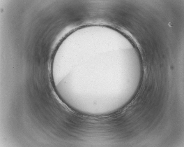 X0000085261416200704092103