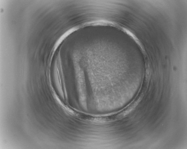 X0000085261418200704092103