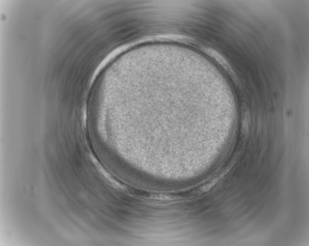 X0000085261420200704092103