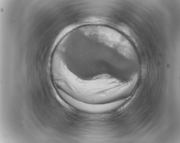 X0000085261421200704092103