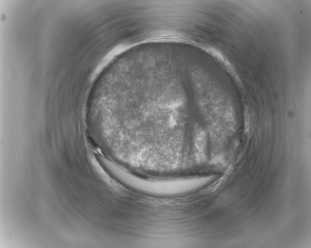 X0000085261422200704092103