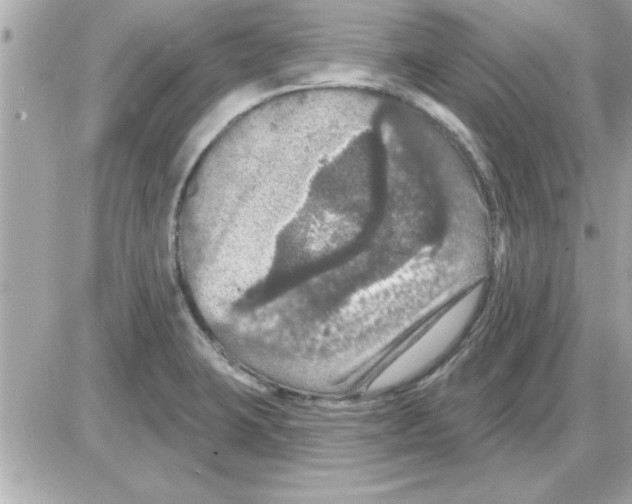 X0000085261423200704092103