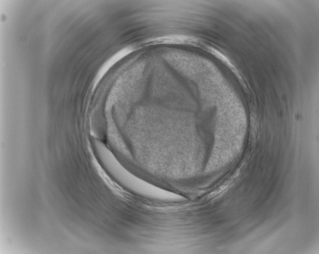 X0000085261426200704092103