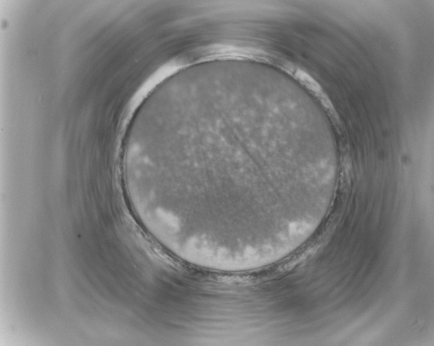 X0000085261427200704092103