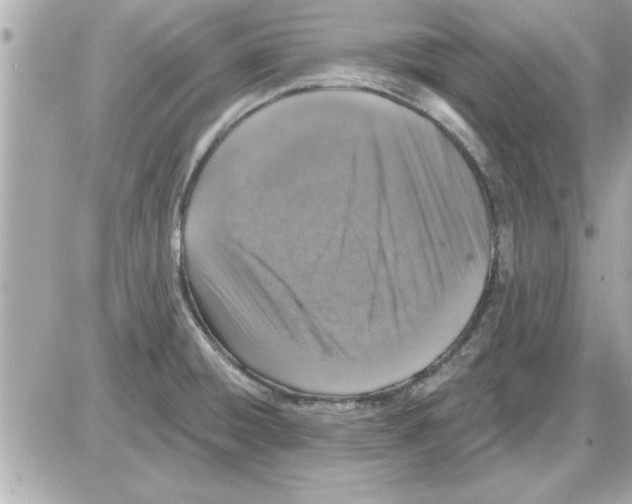 X0000085261428200704092103