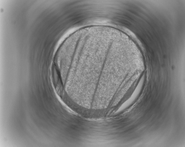 X0000085261432200704092103