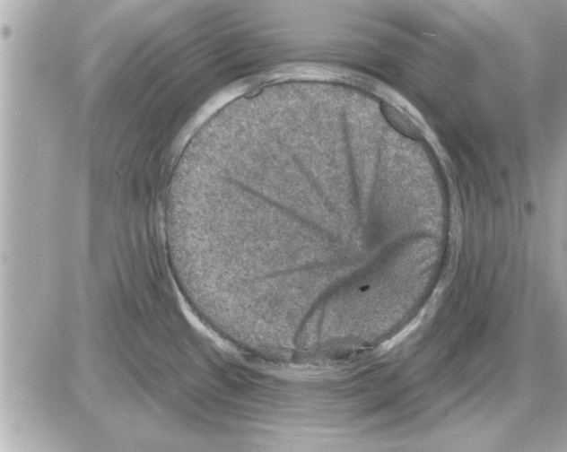 X0000085261433200704092103