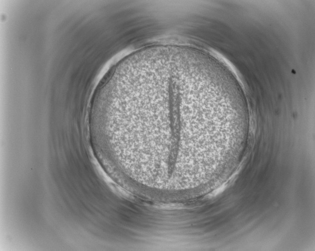 X0000085261434200704092103