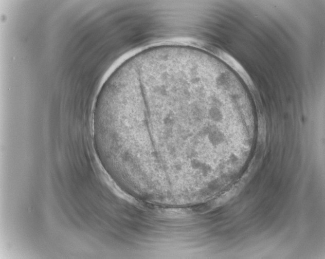 X0000085261436200704092103