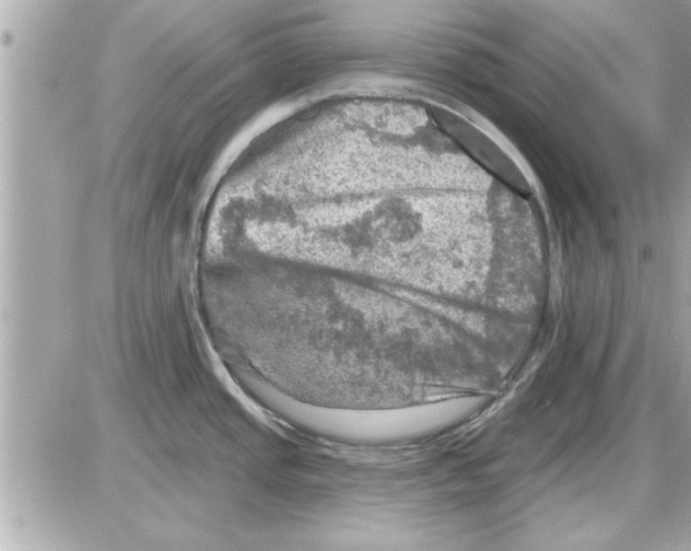 X0000085261437200704092103