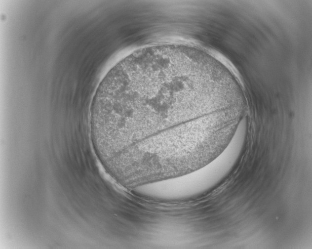 X0000085261439200704092103