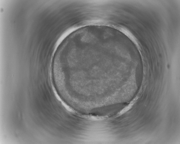 X0000085261440200704092103