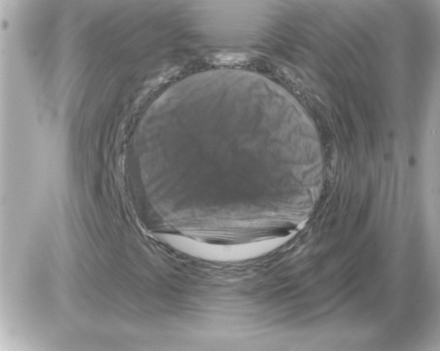 X0000085261441200704092102