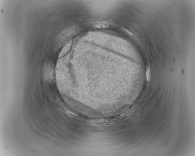 X0000085261444200704092102