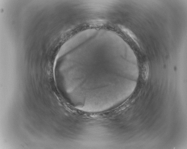 X0000085261445200704092102