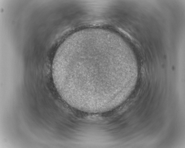 X0000085261447200704092102