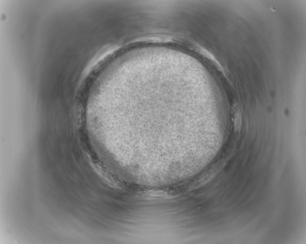 X0000085261448200704092102