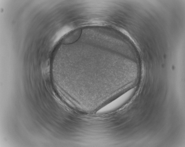 X0000085261450200704092102