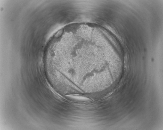 X0000085261452200704092102