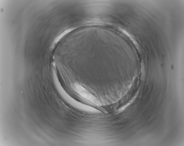 X0000085261453200704092102