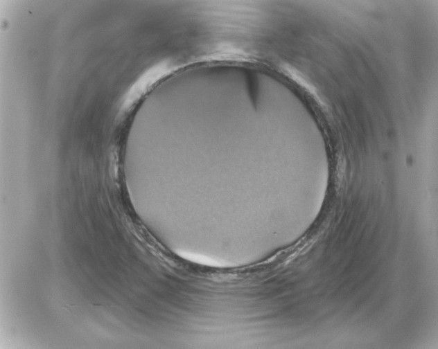 X0000085261455200704092102