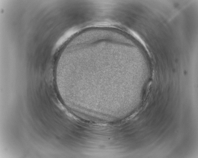 X0000085261456200704092102