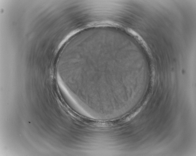 X0000085261457200704092102