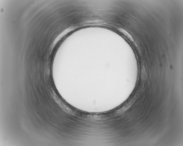 X0000085261458200704092102