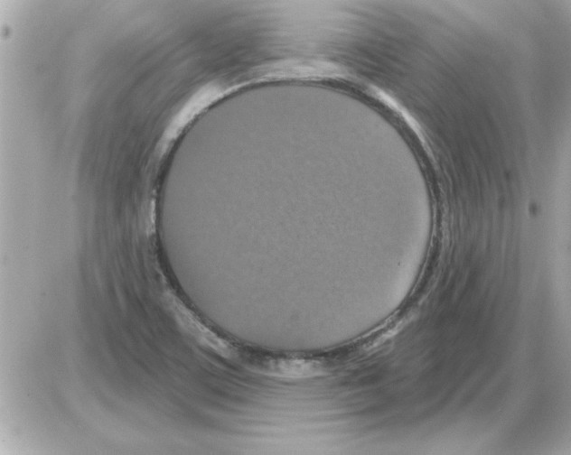 X0000085261459200704092102