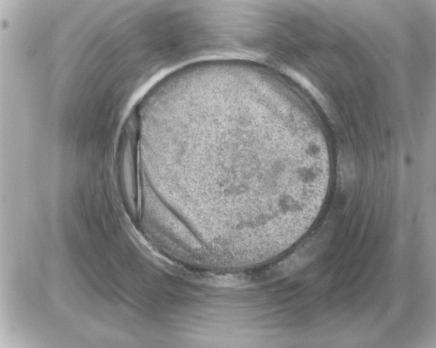 X0000085261460200704092102