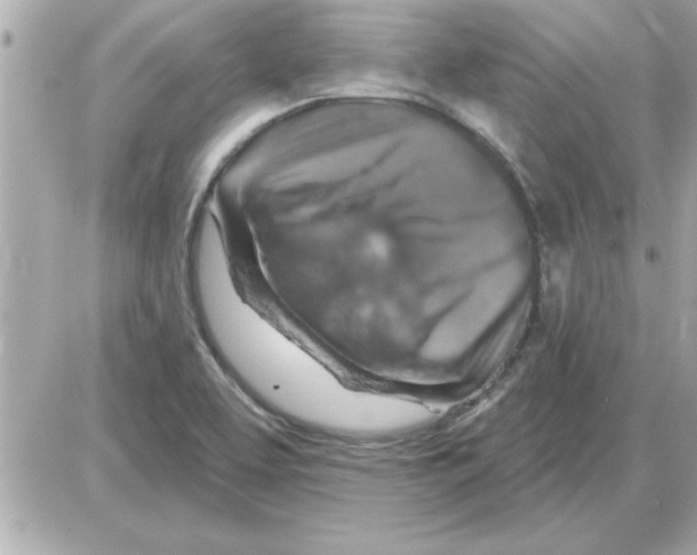 X0000085261463200704092102