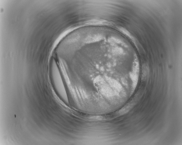 X0000085261467200704092102