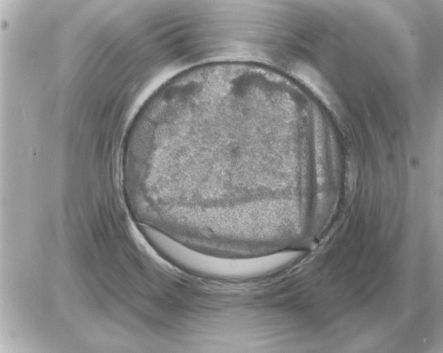 X0000085261468200704092102