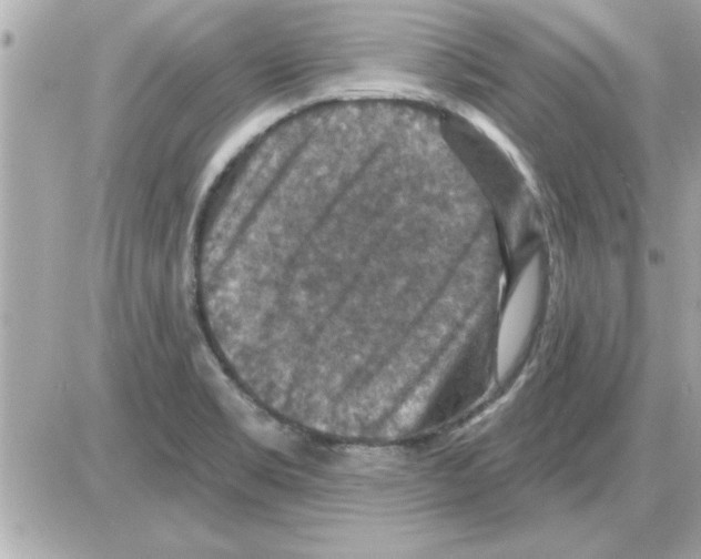 X0000085261469200704092102