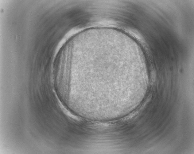 X0000085261470200704092102