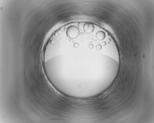 X0000085261472200704092102