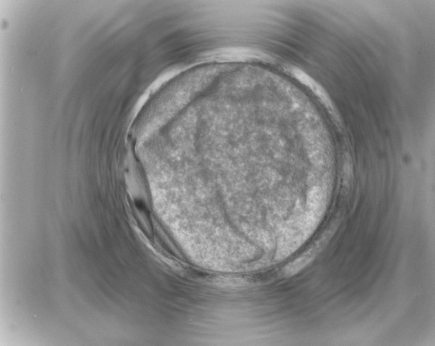 X0000085261473200704092102