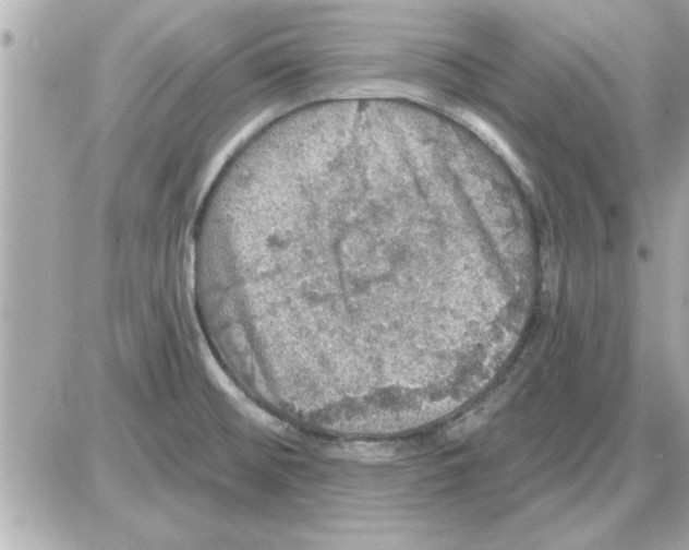 X0000085261476200704092102