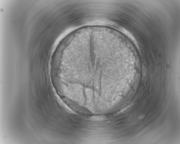 X0000085261480200704092102