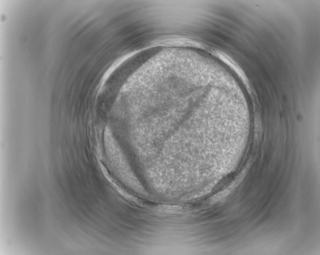 X0000085261481200704092102