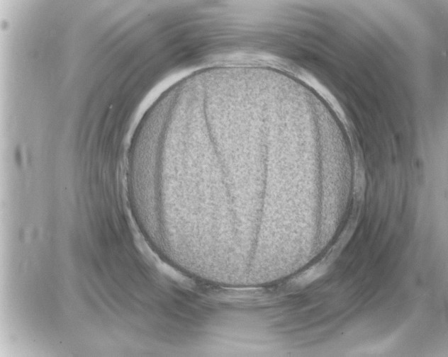 X0000085261486200704092101