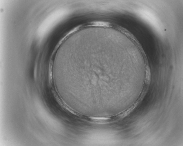 X0000085261487200704092101