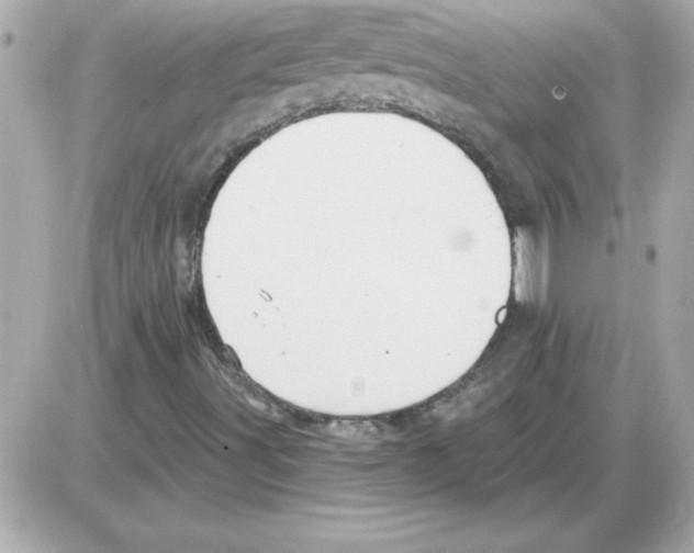 X0000085261491200704092101