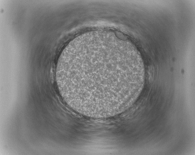 X0000085261493200704092101