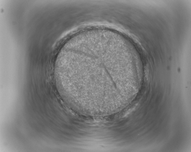 X0000085261494200704092101