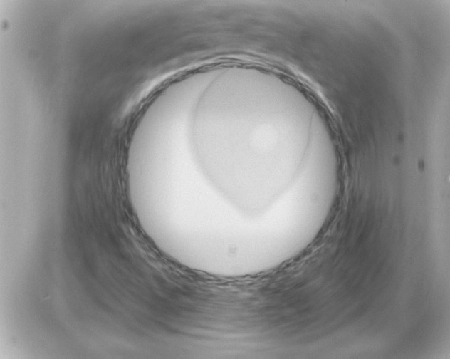 X0000085261496200704092101